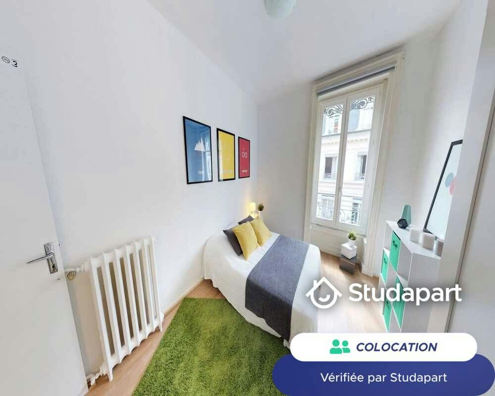 Private room for rent on Rue du Garet, Lyon - Vue 4