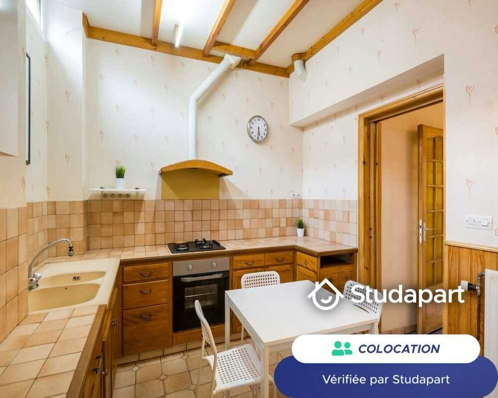 Private room for rent on Rue Villebois Mareuil, Lyon - Plus