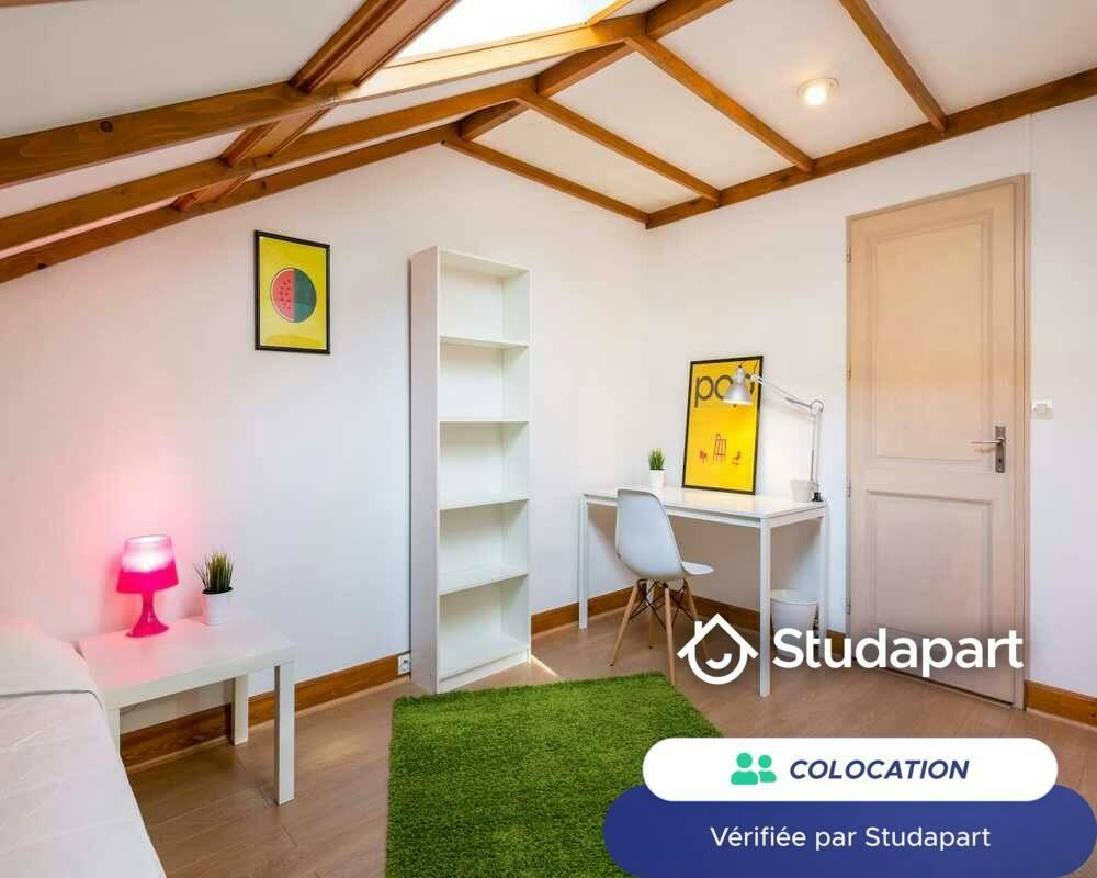 Private room for rent on Rue Villebois Mareuil, Lyon - Vue 4