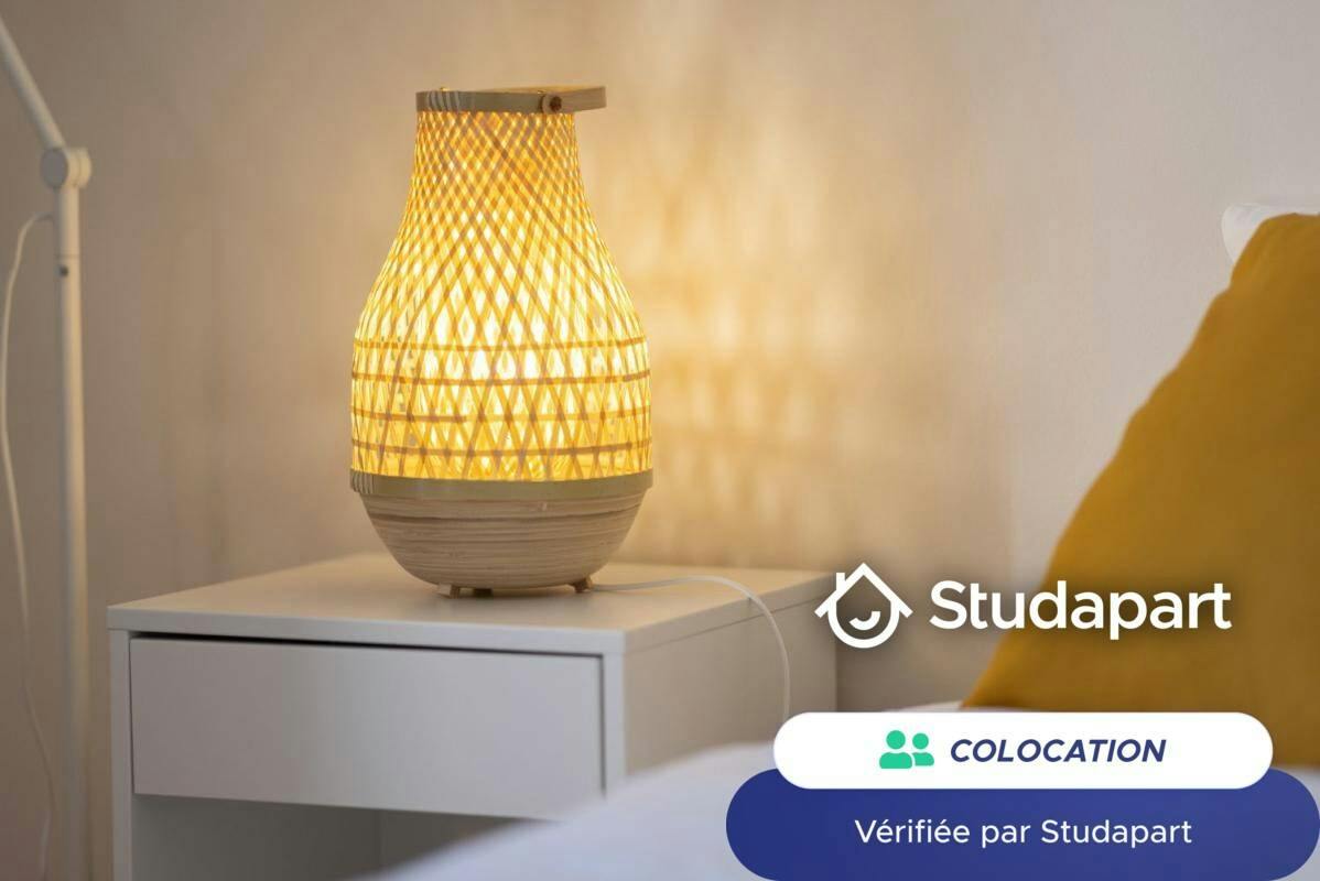 Private room for rent on Cours Lafayette, Lyon - Vue 5