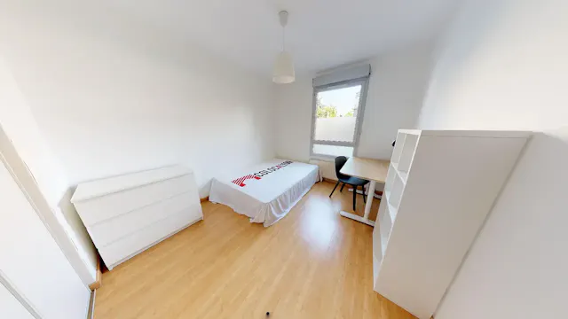 Private room in Rue Laënnec, Lyon (1707074) room image 1