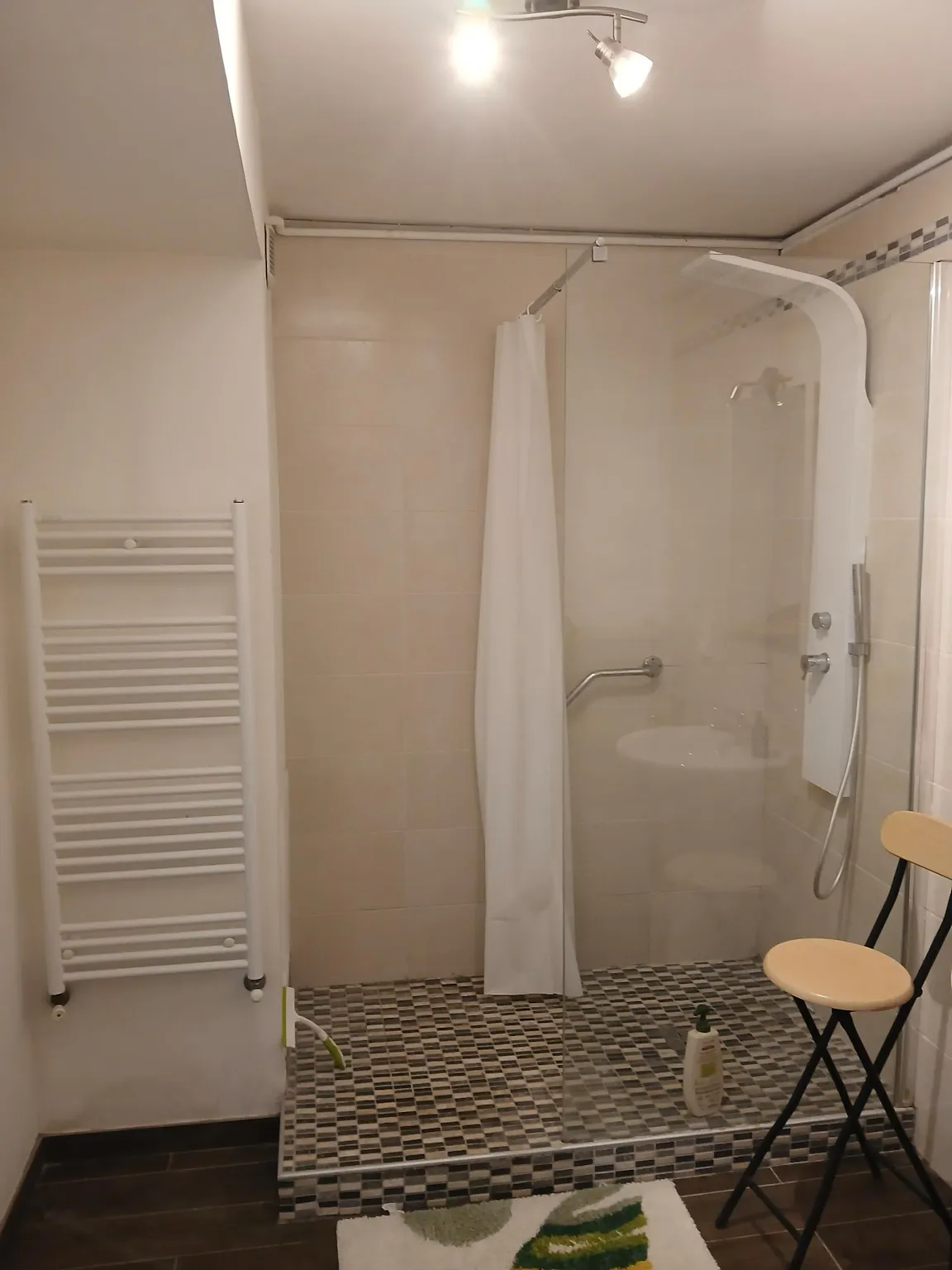 Apartment in Avenue du Thiou, Annecy (1707284) ROOM 4
