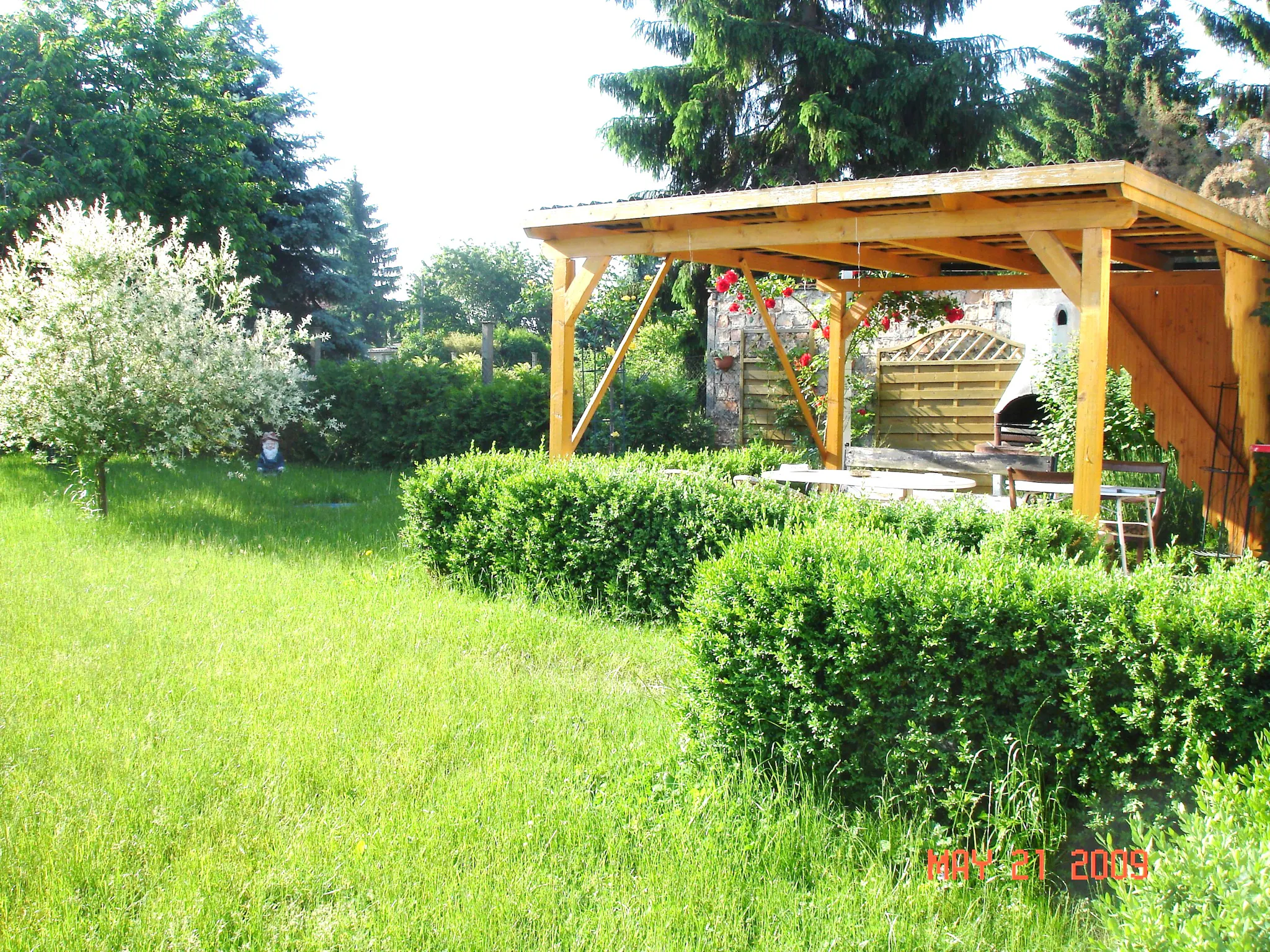 Image #7