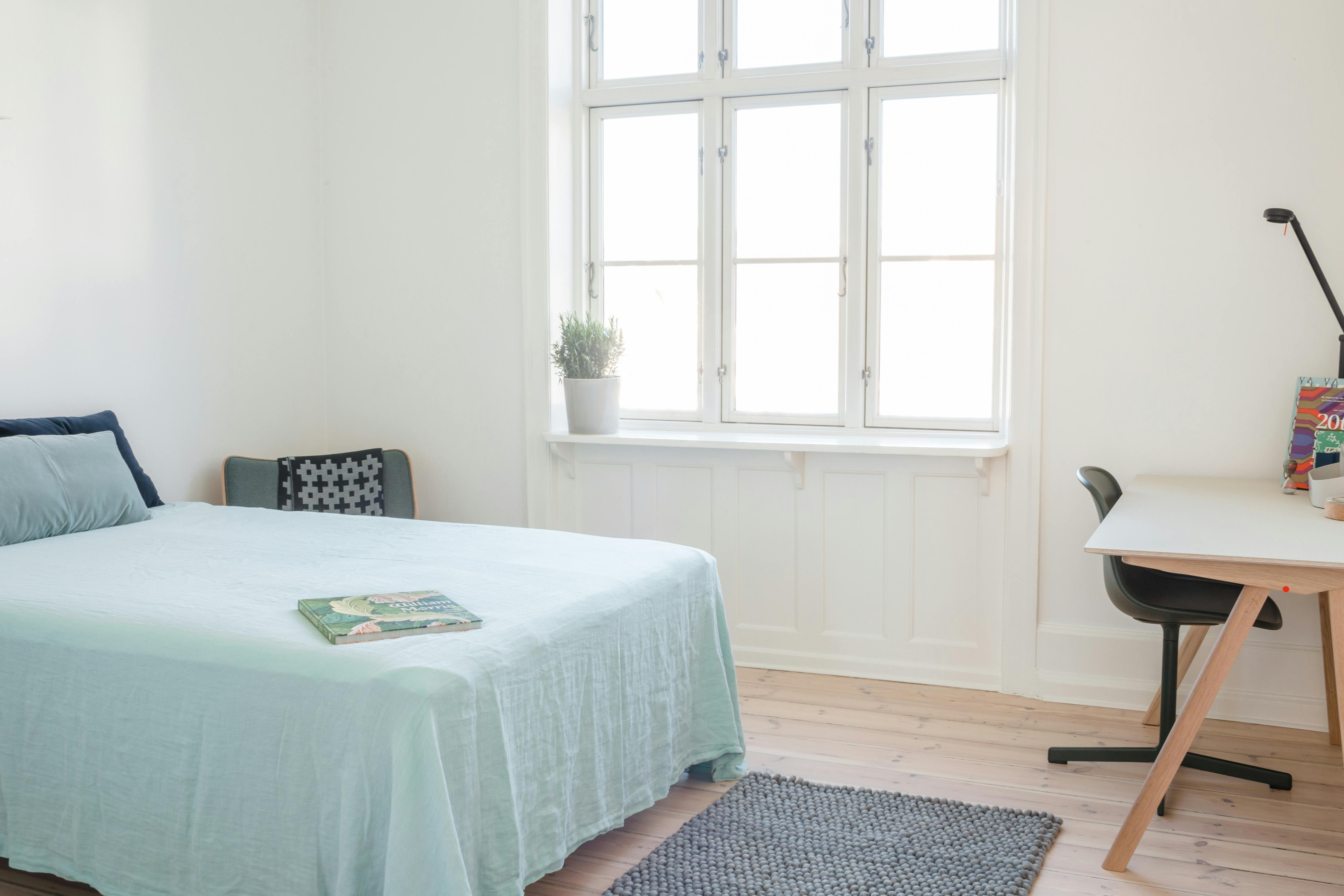 Single room Frederiksberg, 1 bed, 14m² — photo 5