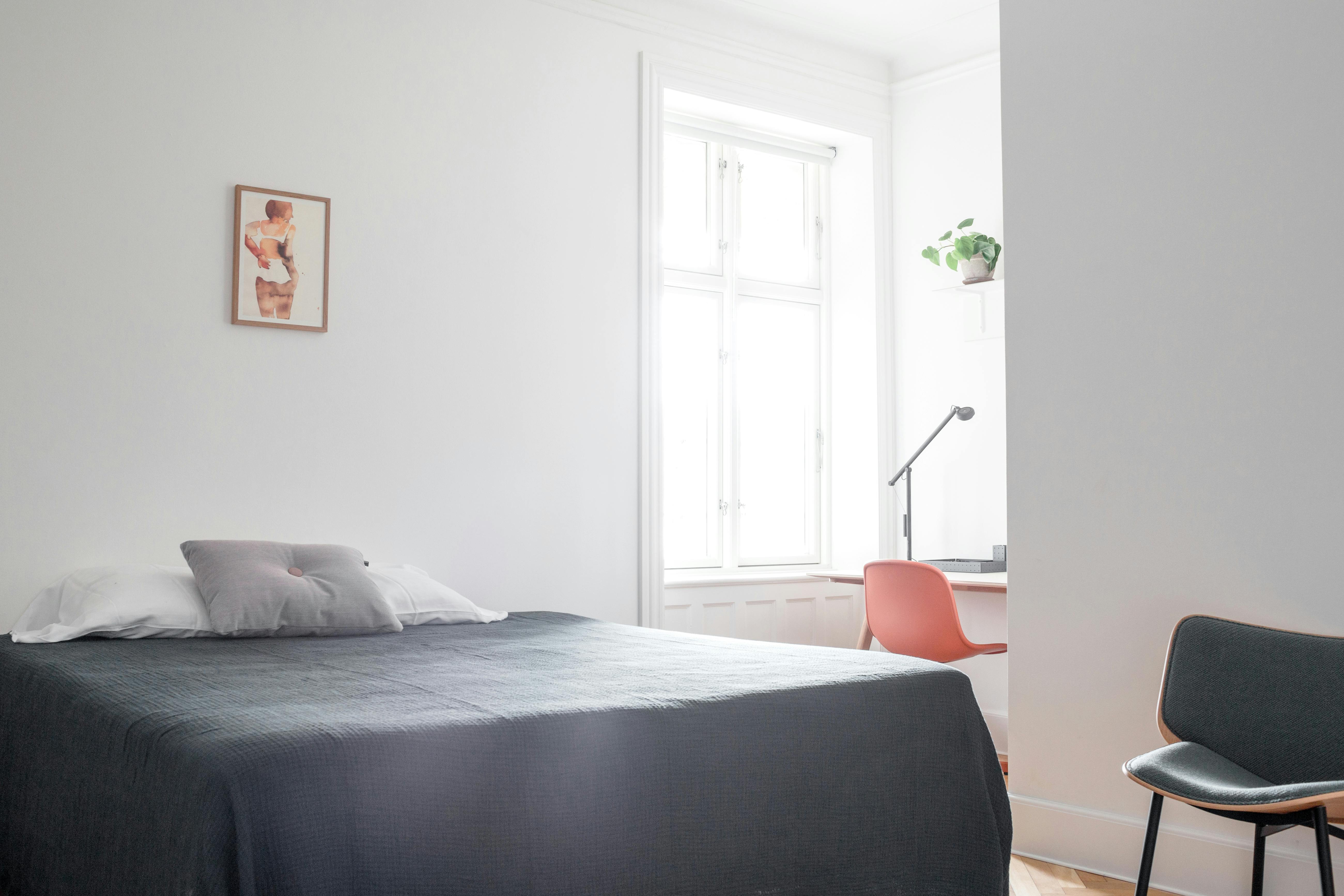 Livjægergade, København preview