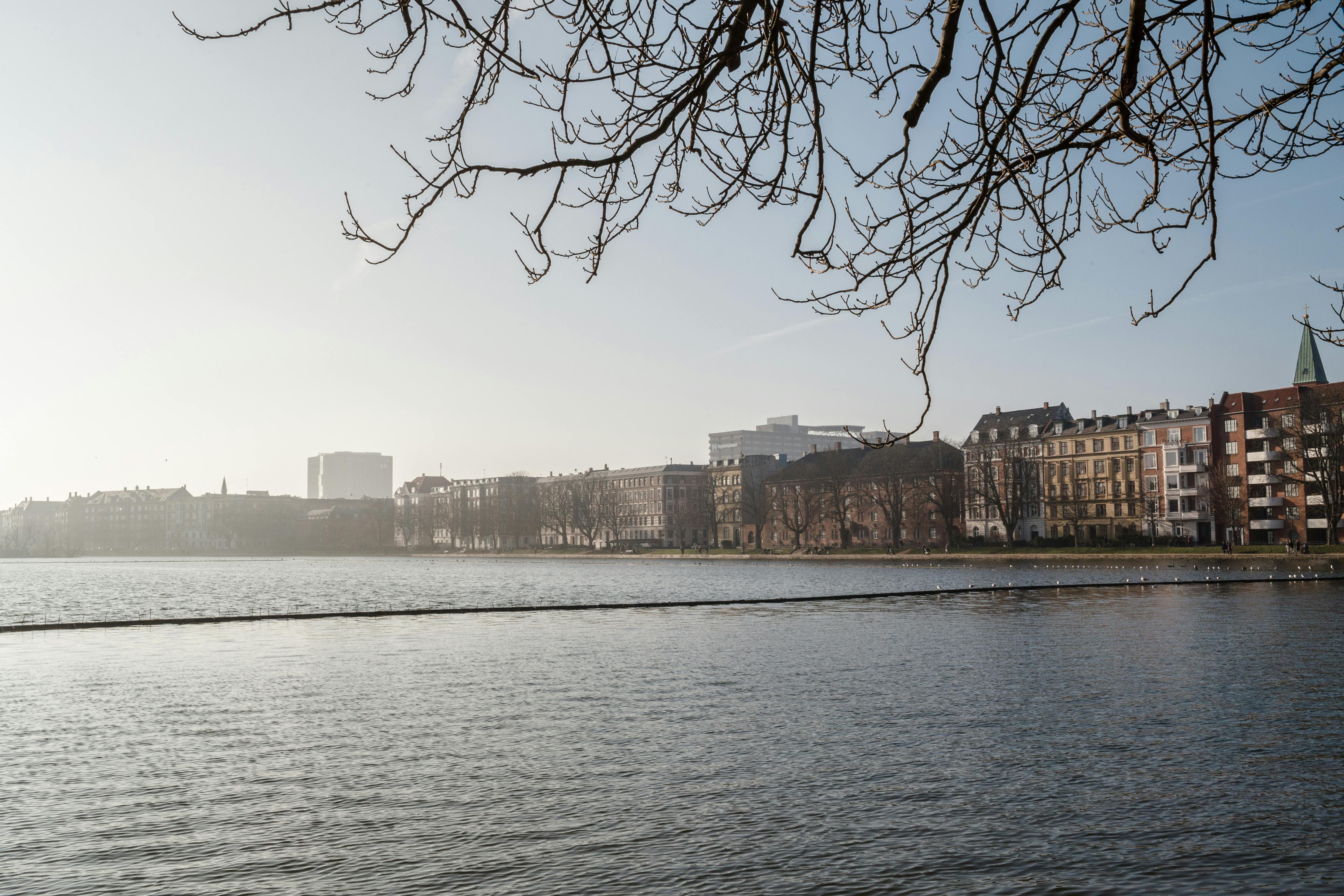 Single room København, 1 bed, 30m² — photo 2