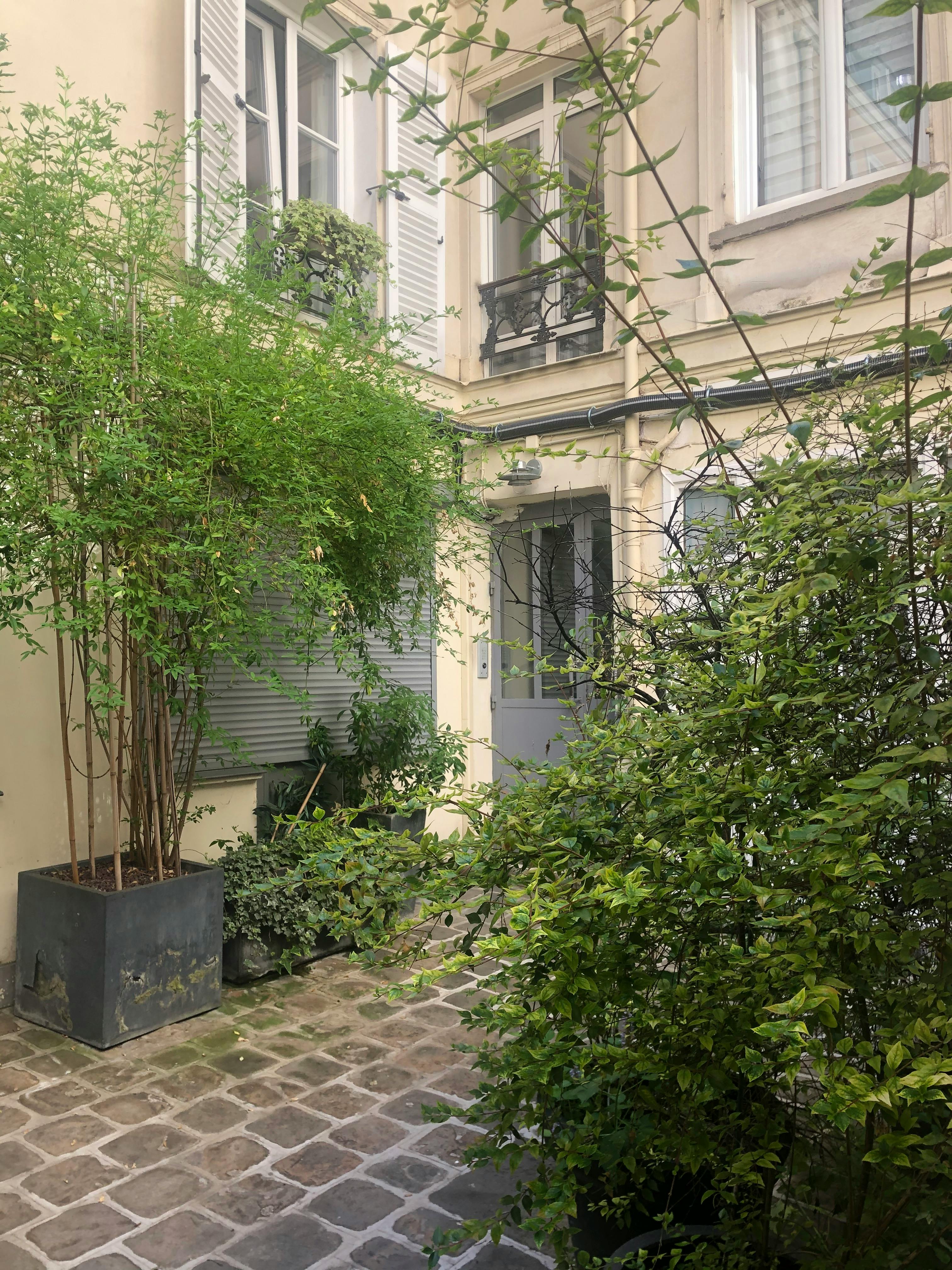 Rue Saulnier, Paris preview