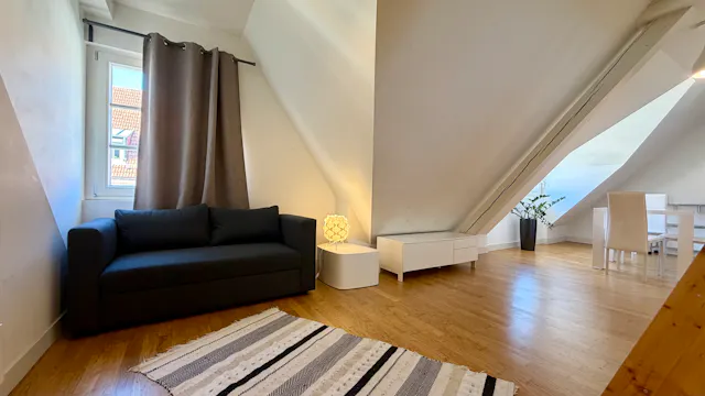 1-Bedroom Apartment in Rue Kirstein, Strasbourg (1709183) room image 2