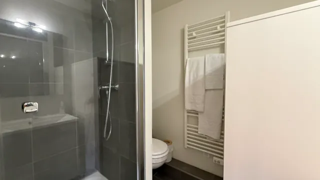 1-Bedroom Apartment in Rue Kirstein, Strasbourg (1709183) room image 50