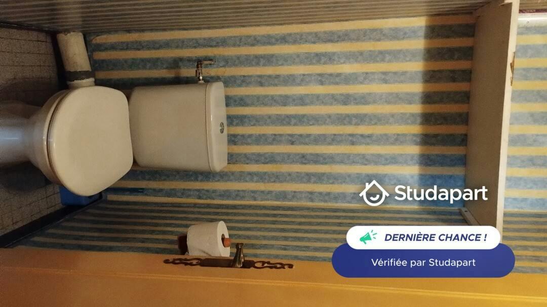 Private room for rent on Avenue Lacassagne, Lyon - Plus