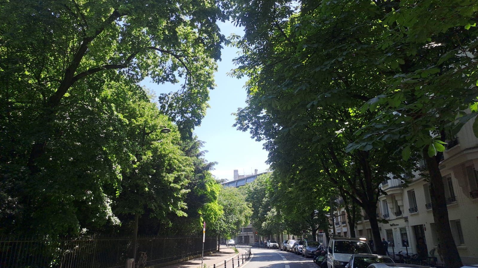 Rue Manin, Paris preview