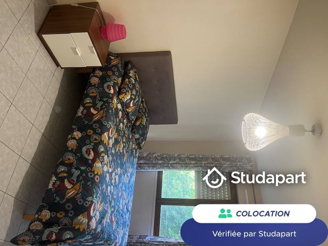 Private room for rent on Avenue Jean Baptiste Fortin, Bagneux – pohled 6