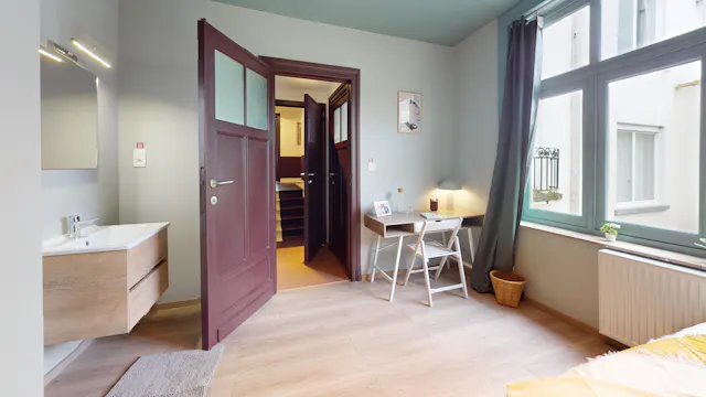 Private room in Rue Antoine Bréart, Saint-Gilles (1710720) room image 2
