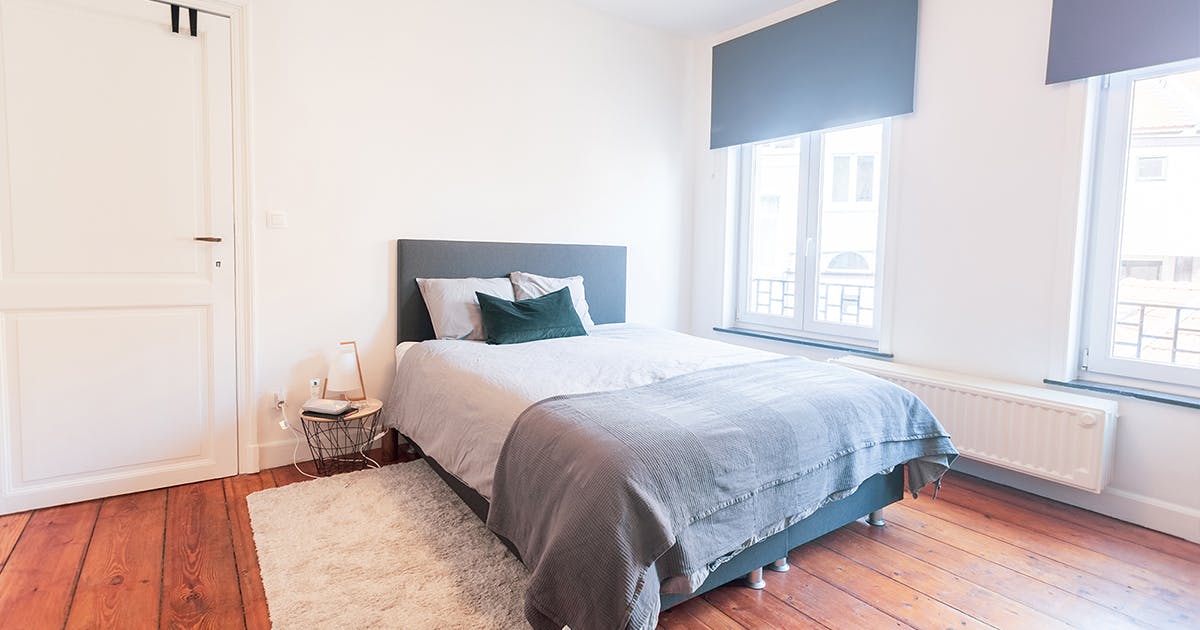 Rue du Berceau, Brussels preview