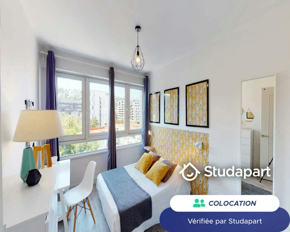 Private room for rent on Cours Charlemagne, Lyon - Vue 5