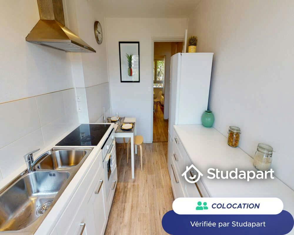 Private room for rent on Cours Charlemagne, Lyon - Plus