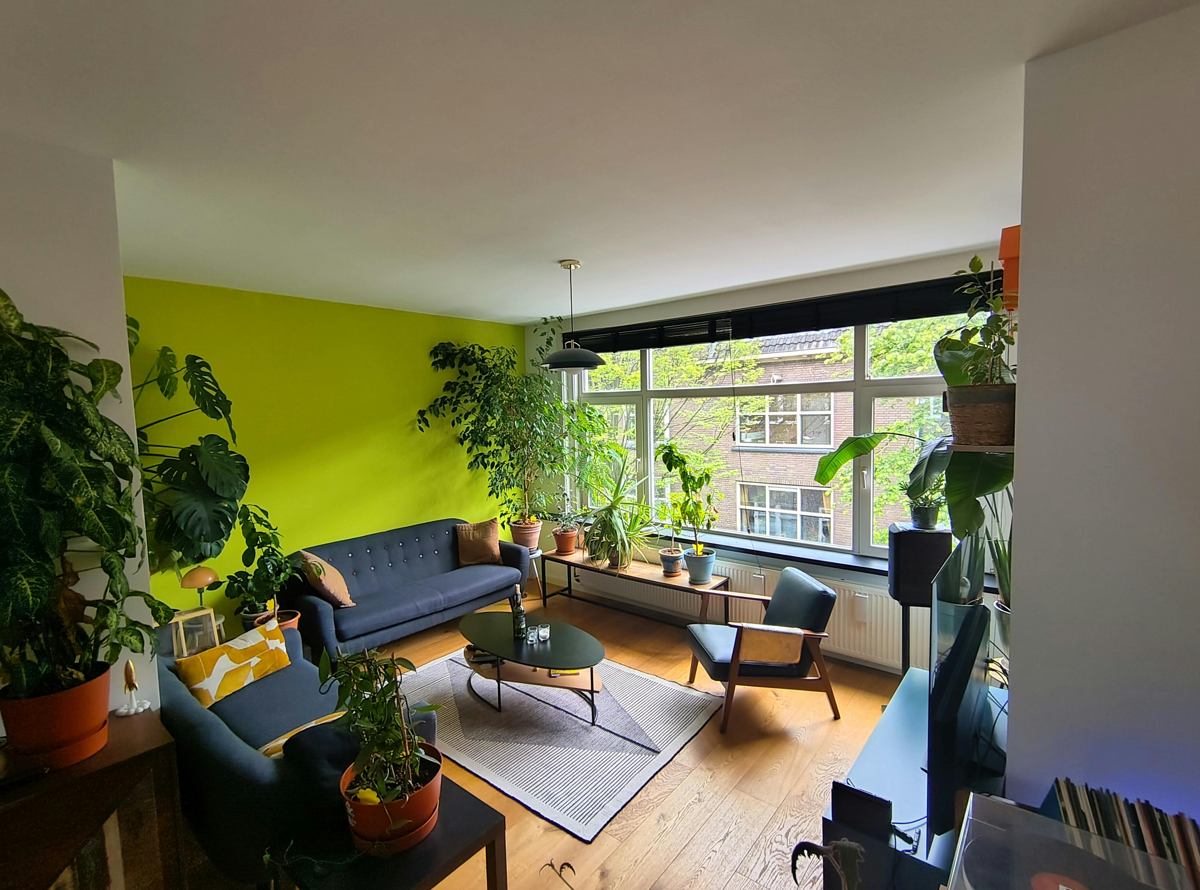 Heemskerkstraat, Rotterdam preview