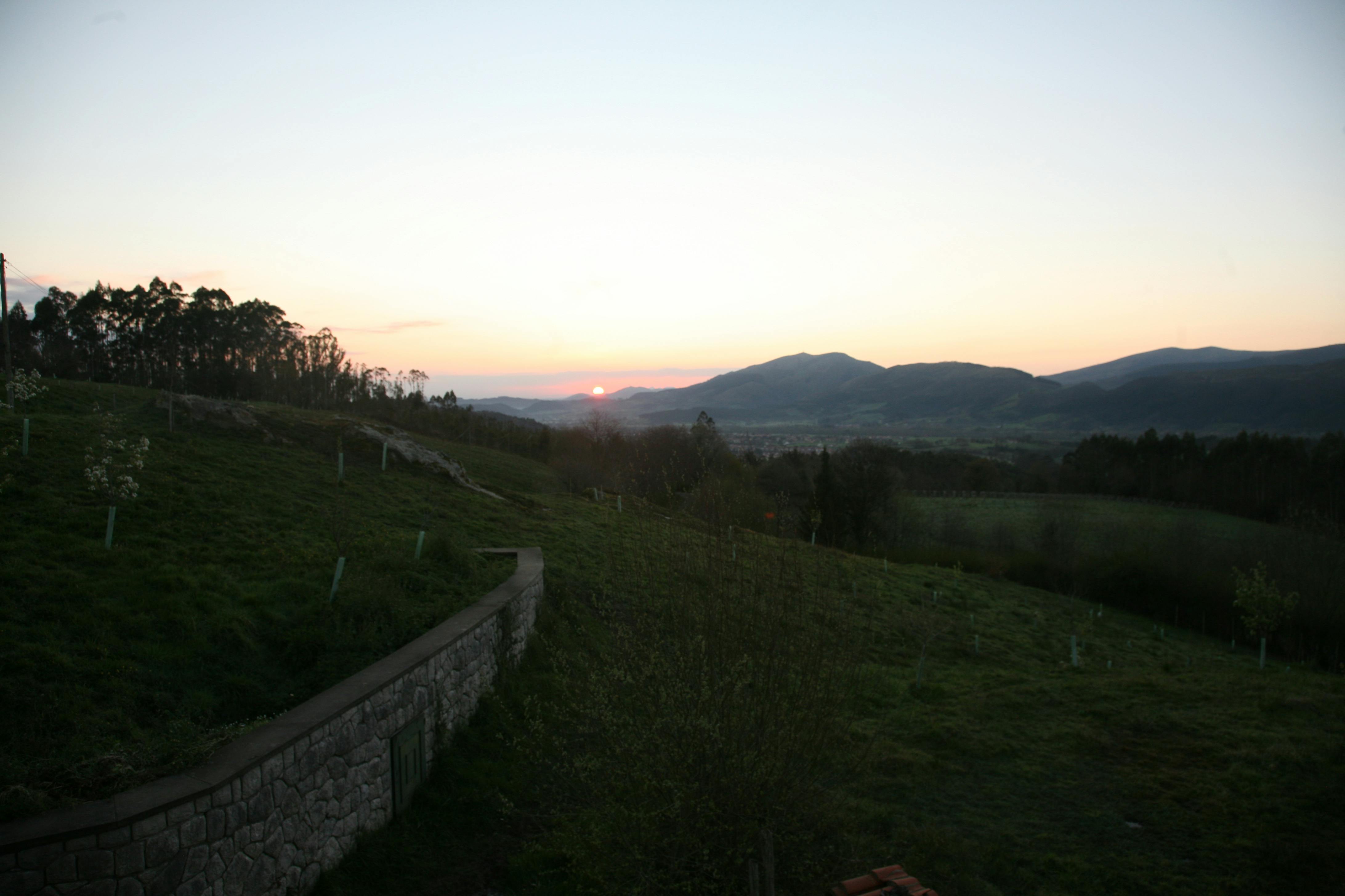Image #8