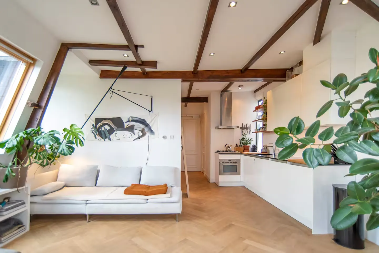 1-Bedroom Apartment in Roetersstraat, Amsterdam (1711584) ROOM 1