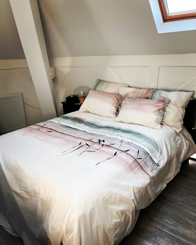 Private room in Rue du Wolf, Mulhouse (1711682) room image 1
