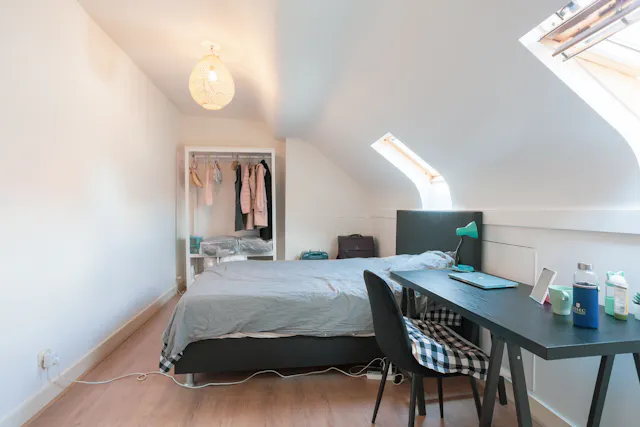 Private room in Rue Darwin, Ixelles (1711890) room image 1