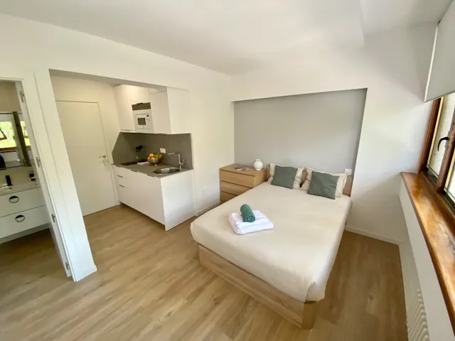 Apartment in Avenida de la Reina Victoria, Madrid (1711952) room image 2
