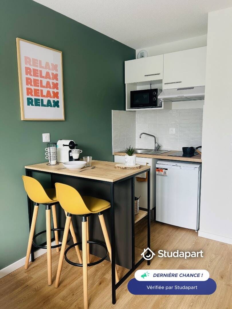 Apartament de închiriat pentru 500 EUR pe lună în Albi, Avenue Maréchal Foch