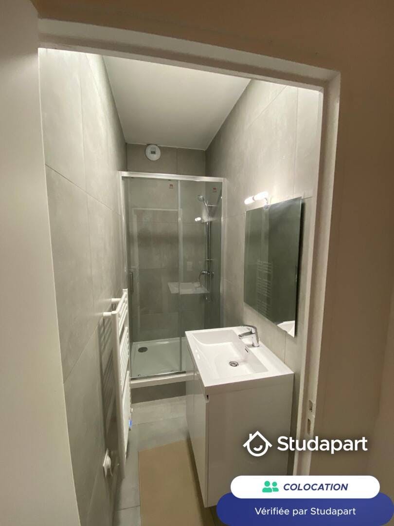 Private room for rent on Rue Chevreul, Lyon - Vue 3