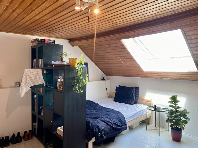 Private room in Rue de Robiano, Schaerbeek (1712290) room image 1