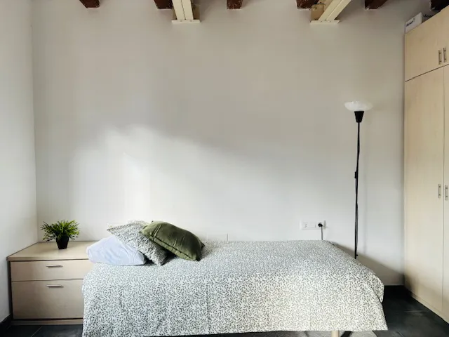 1-Bedroom Apartment in Carrer de Fernando Poo, Barcelona (1712765) room image 49