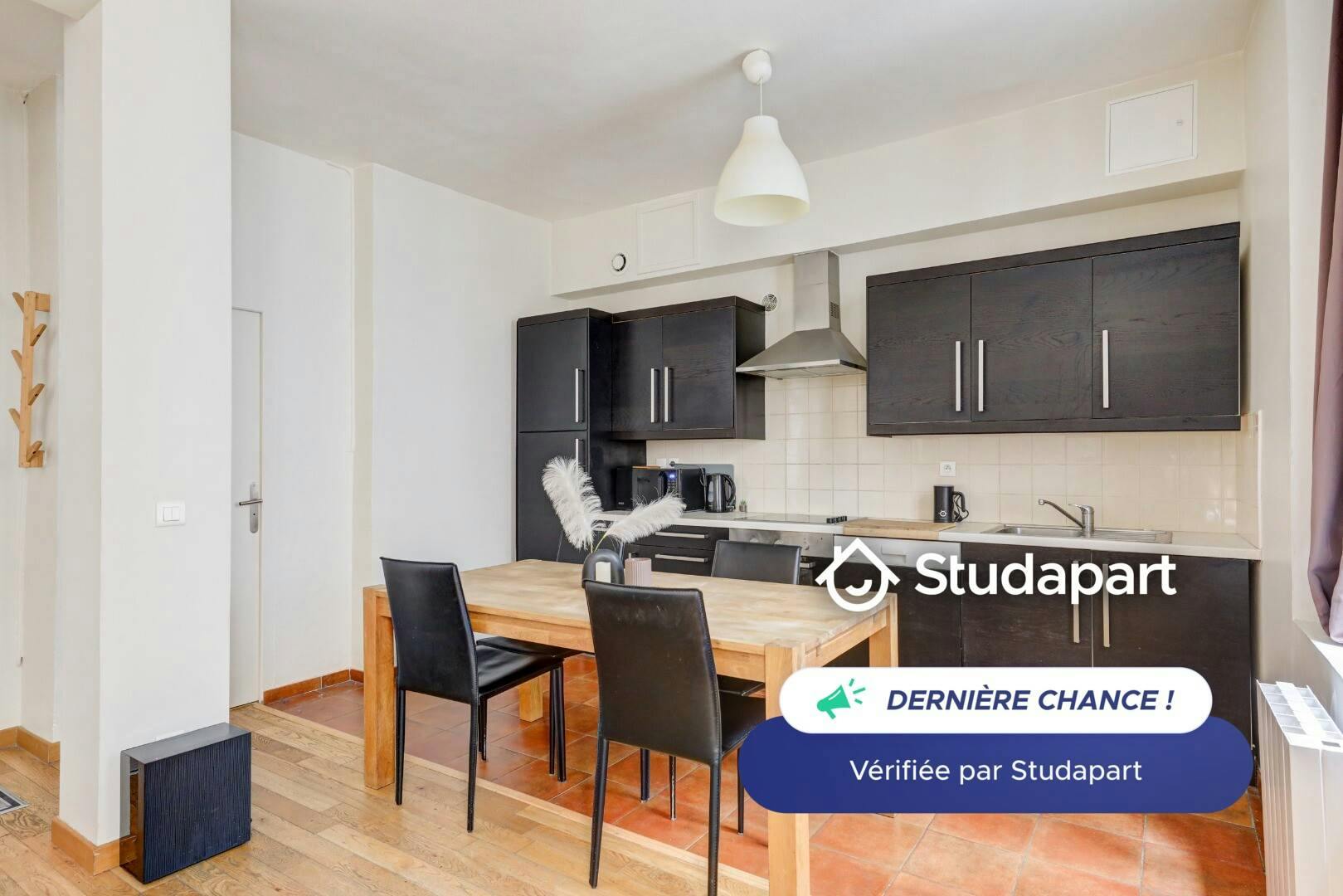 Apartment for rent on Rue Auguste Comte, Lyon