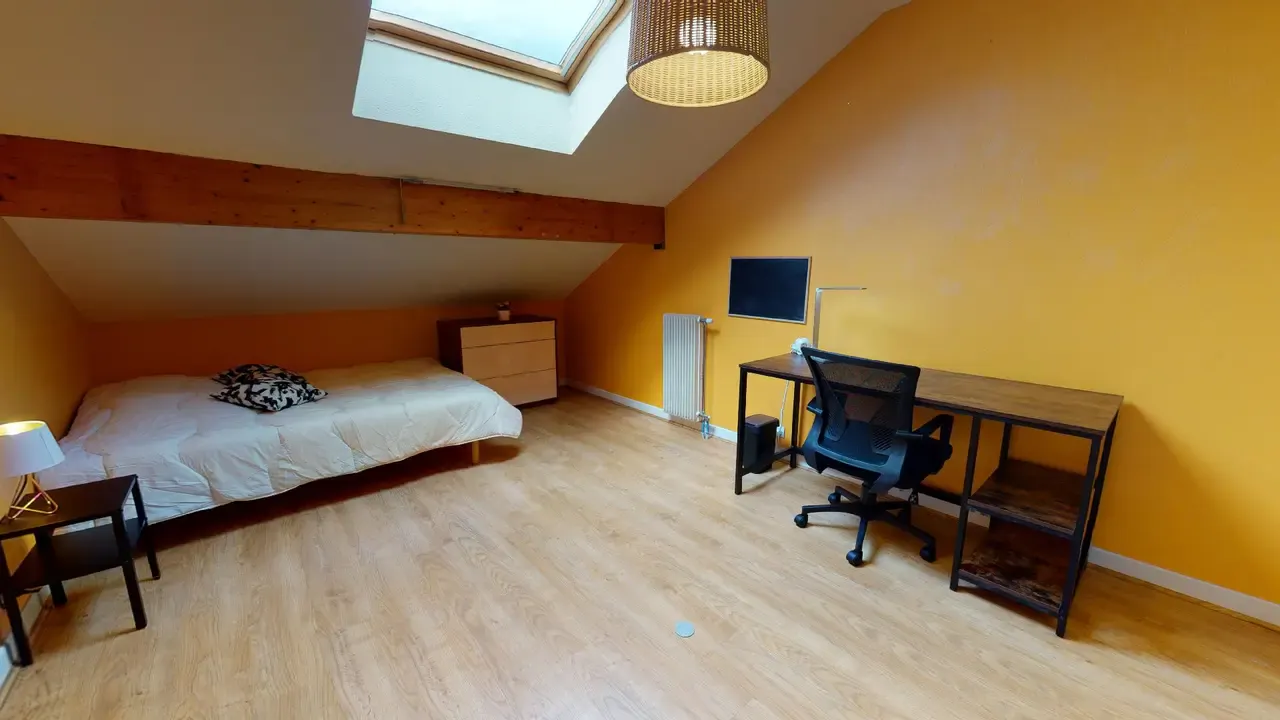 Private room in Rue Longefer, Lyon (1713167) ROOM 1