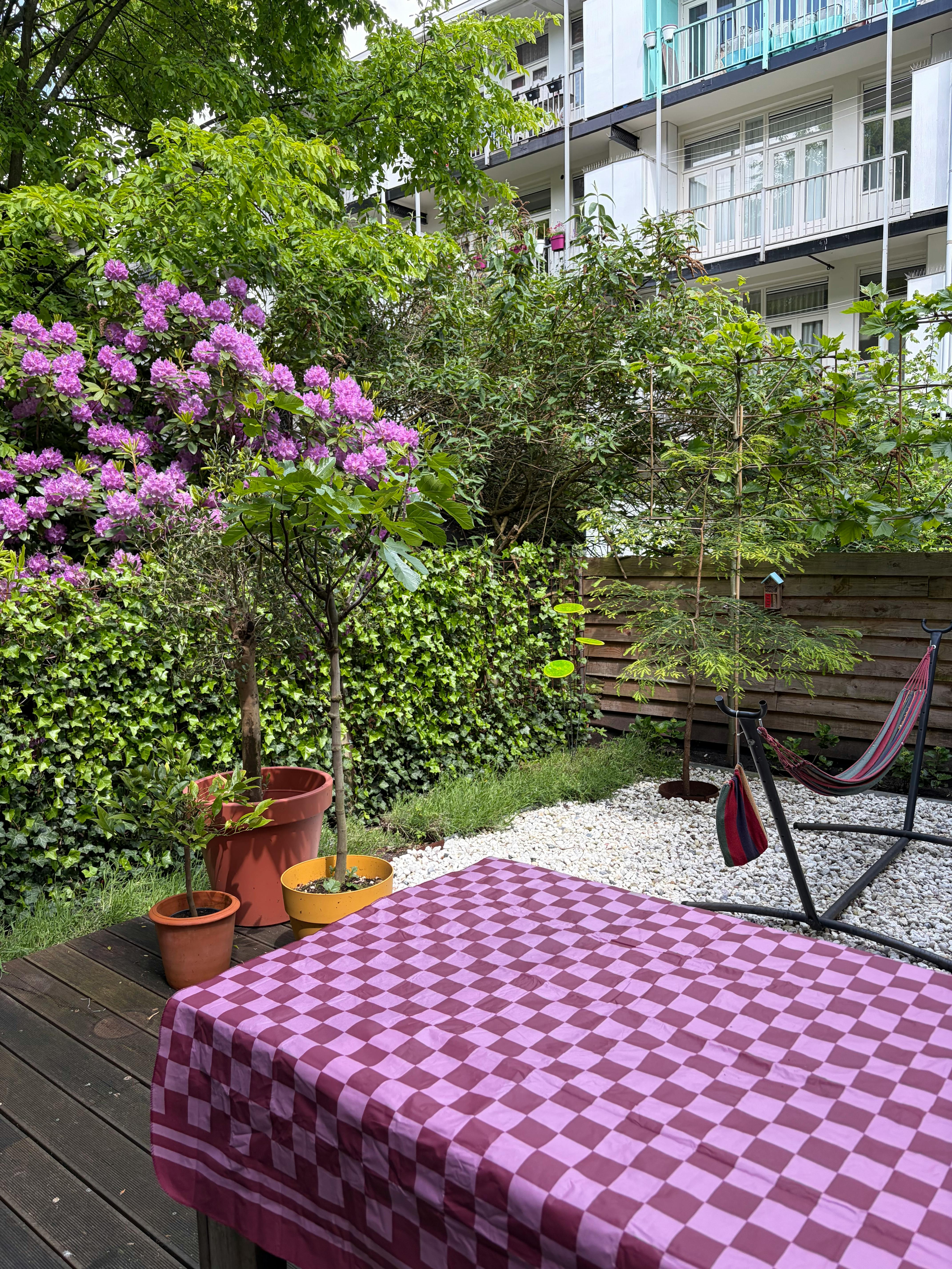 1-Bedroom Apartment in Hoofdweg, Amsterdam (1713771) ROOM
