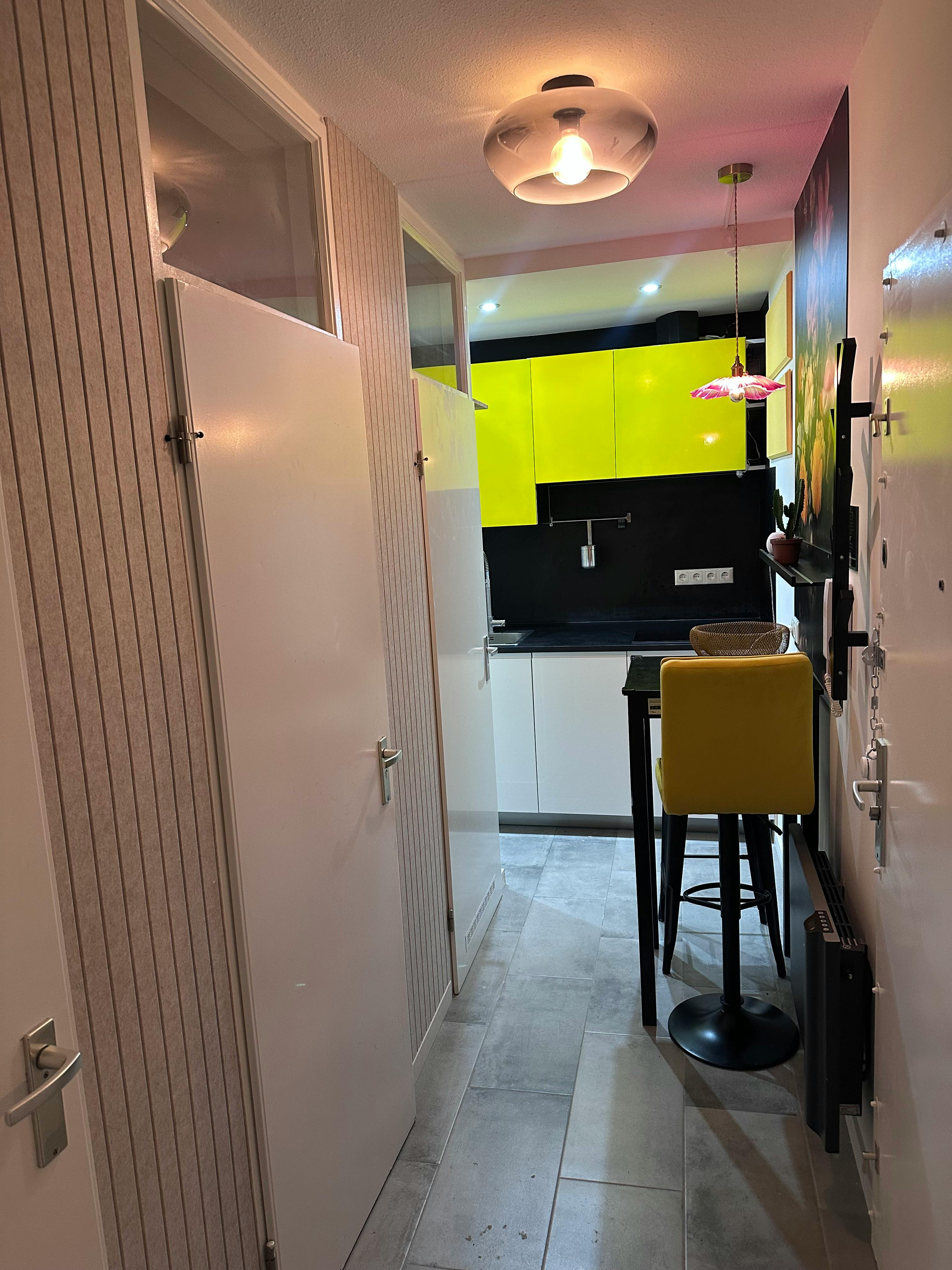 1-Bedroom Apartment in Weteringschans, Amsterdam (1714077) ROOM 3