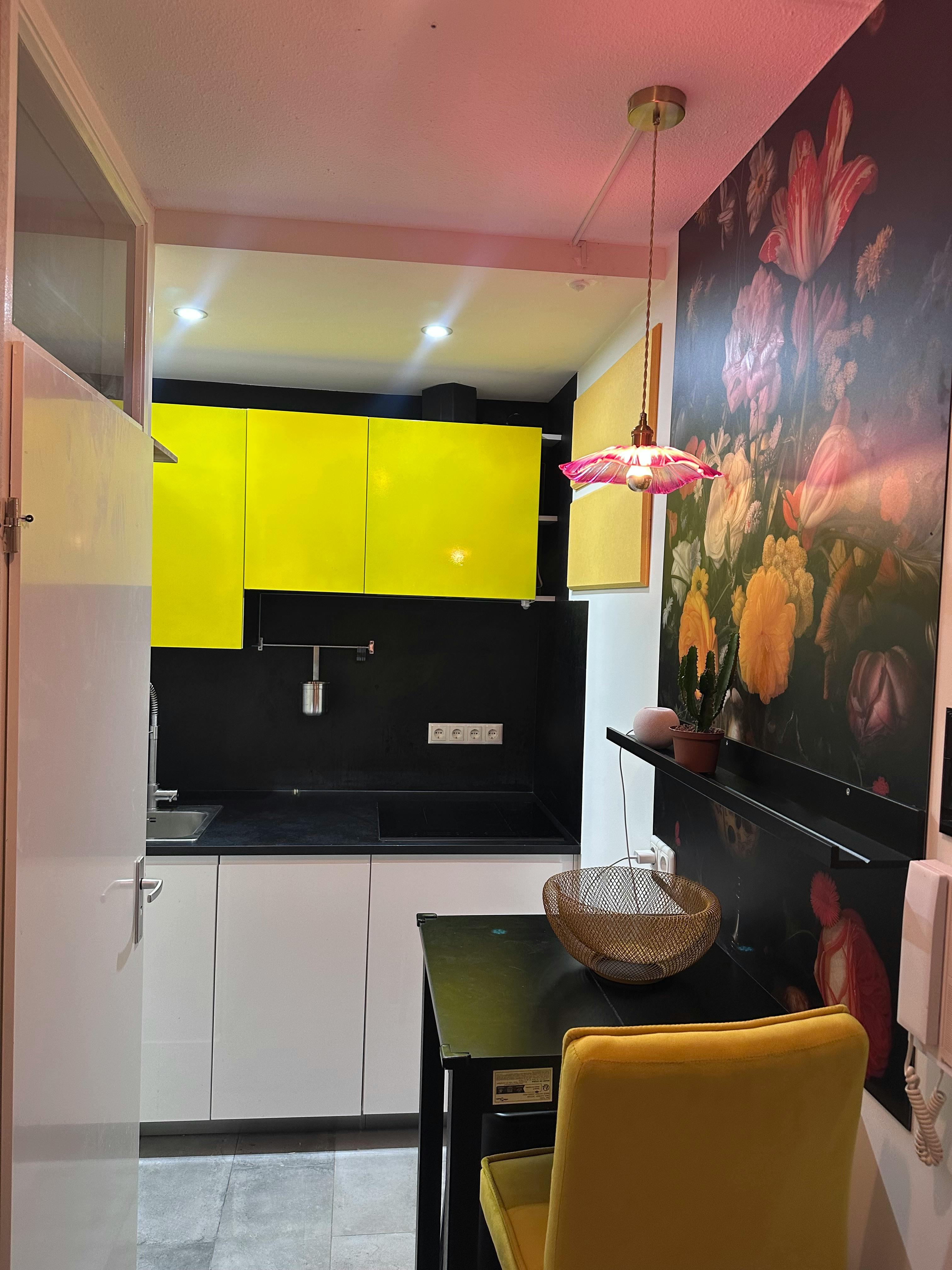 1-Bedroom Apartment in Weteringschans, Amsterdam (1714077) ROOM 1