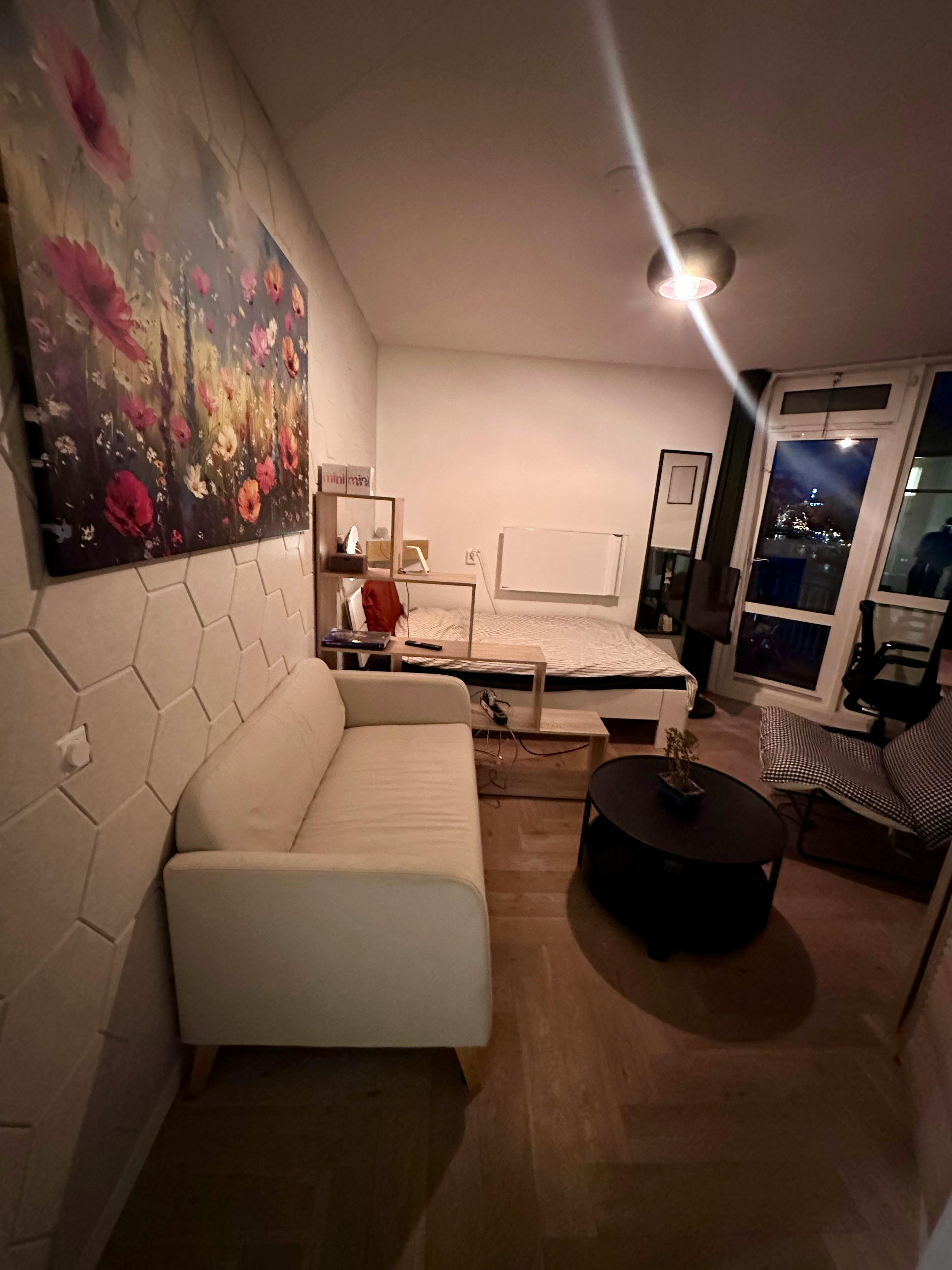 1-Bedroom Apartment in Weteringschans, Amsterdam (1714077) ROOM 4