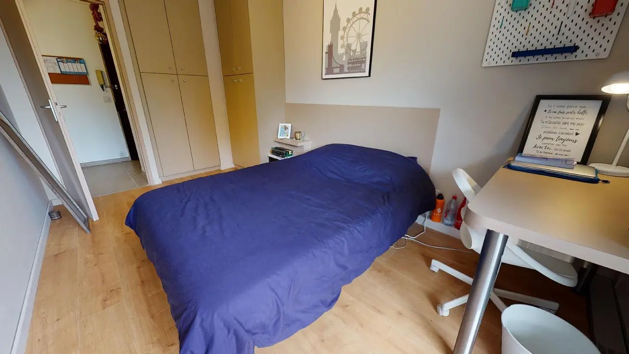 Private room in Rue Jean Sarrazin, Lyon (1714247) room image 1