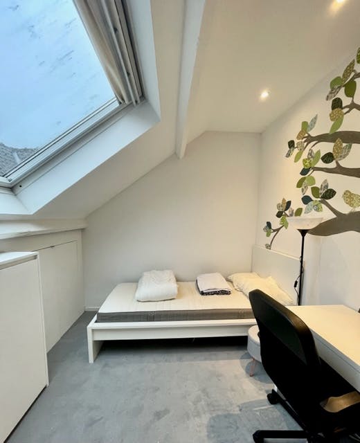 Private room in Avenue Brillat-Savarin, Ixelles (1714418) room image 1