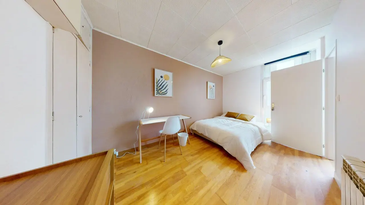 Private room in Avenue Barthélémy Buyer, Lyon (1714515) ROOM 2