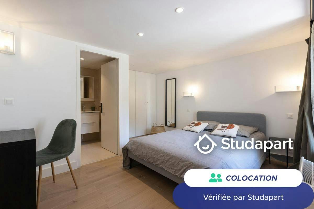 Private room for rent on Rue Georges Gouy, Lyon - Vue 5