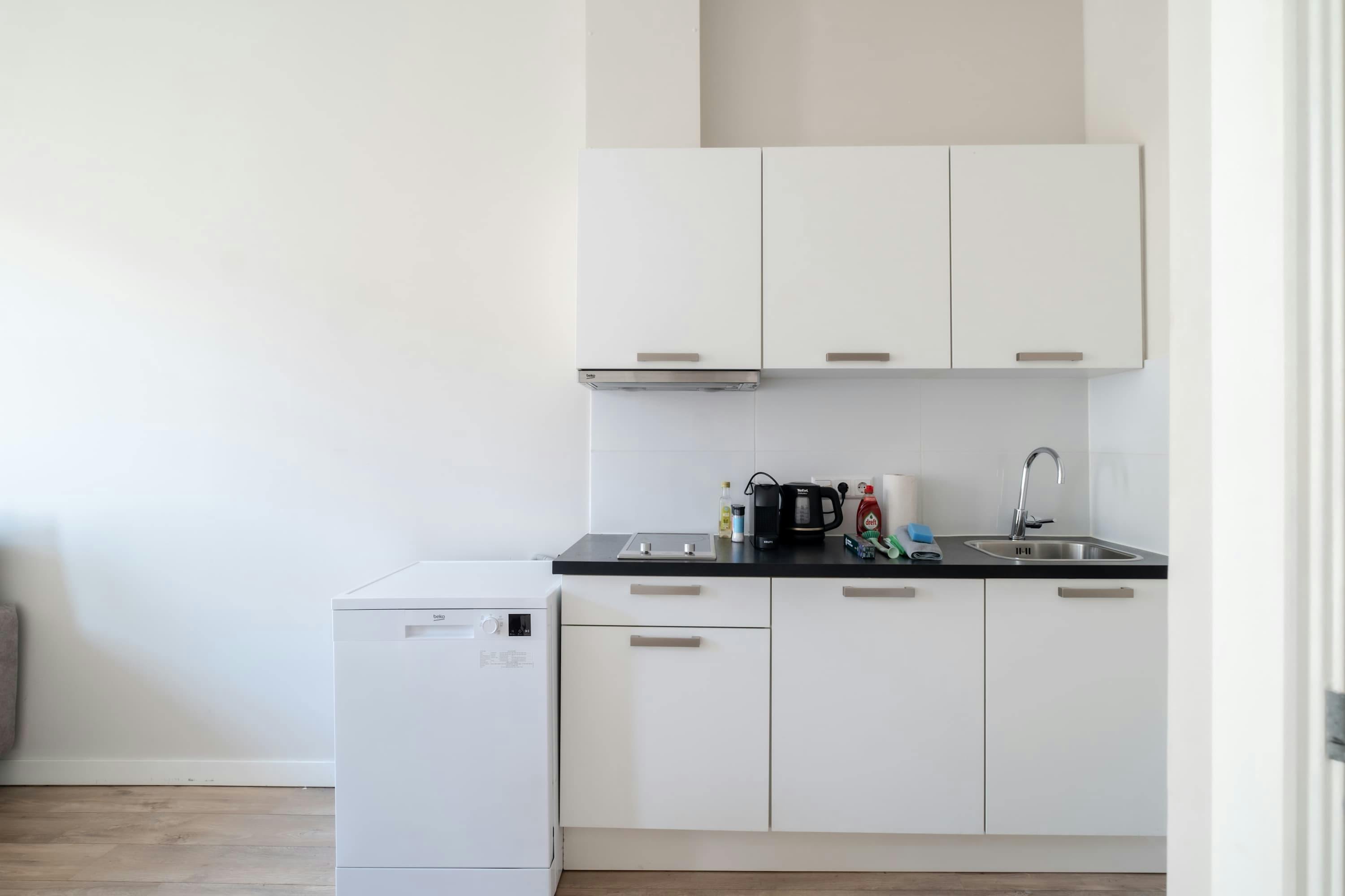 1-Bedroom Apartment in Saftlevenstraat, Rotterdam (1715105) room image 50
