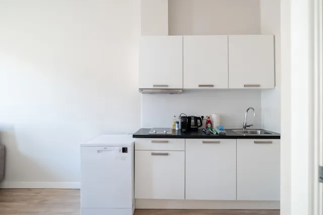 1-Bedroom Apartment in Saftlevenstraat, Rotterdam (1715105) room image 50