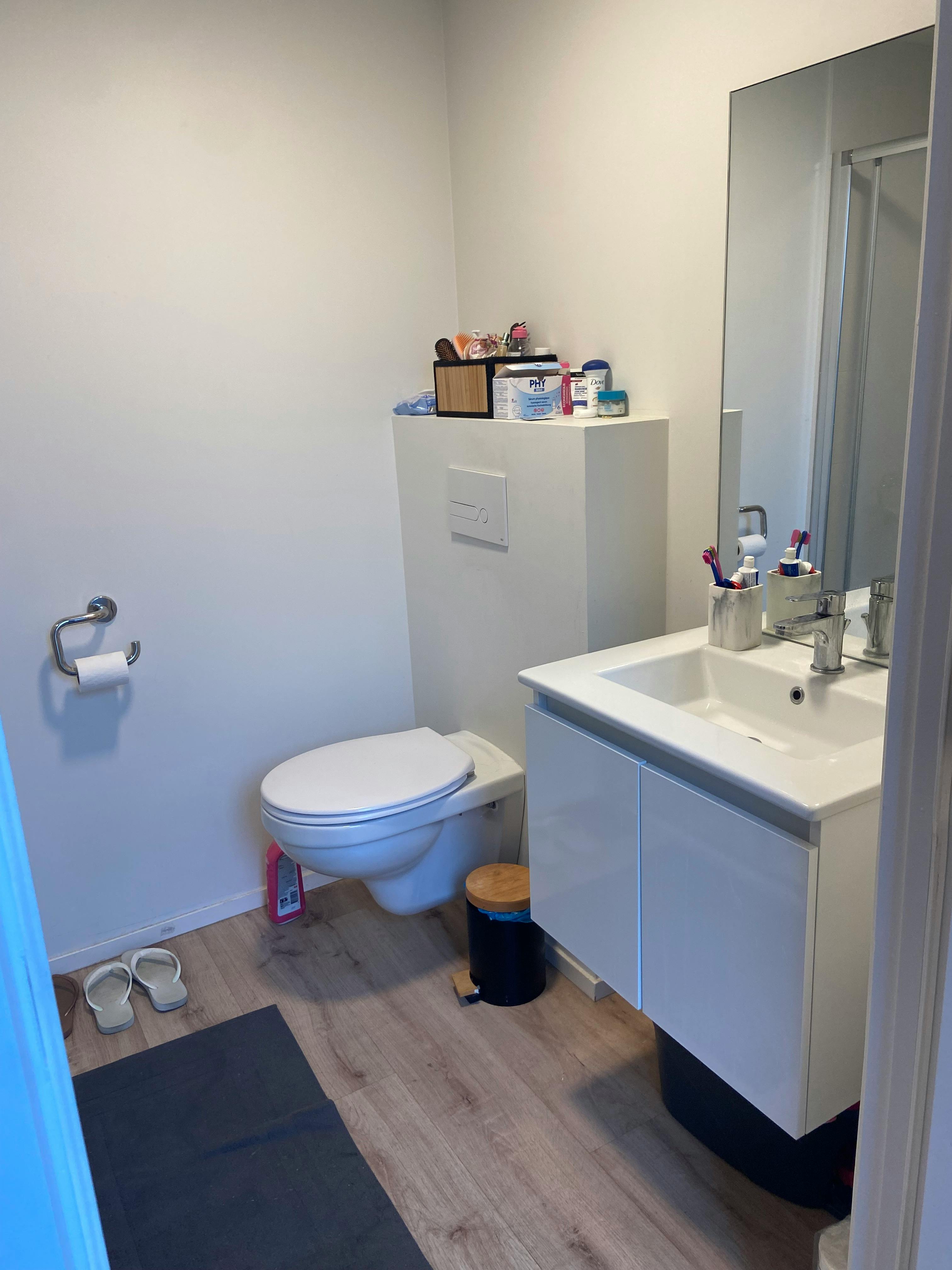 1-Bedroom Apartment in Rue Saint-Pierre, Brussels (1715204) ROOM 3