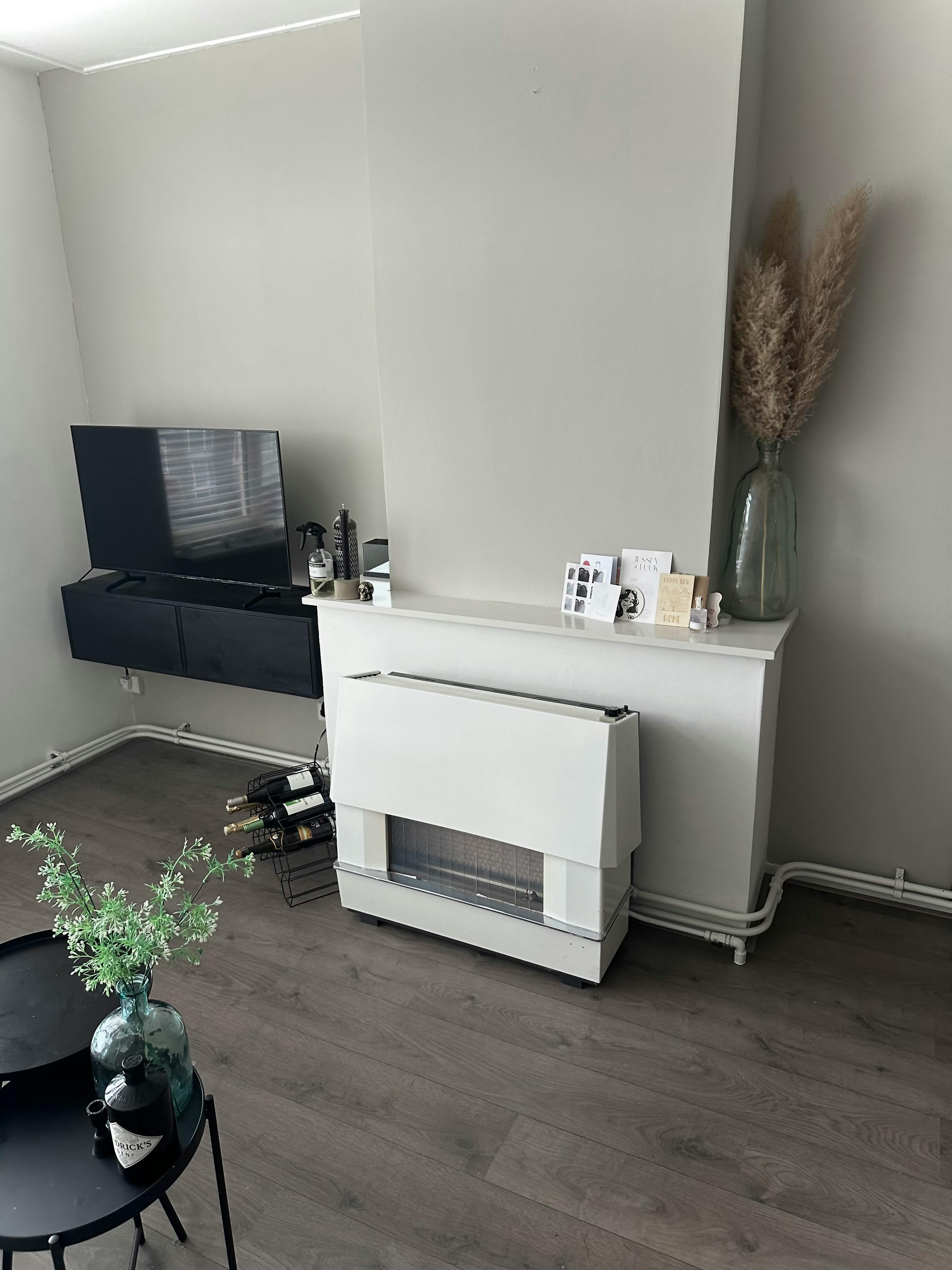 1-Bedroom Apartment in Burgemeester Baumannlaan, Rotterdam (1715279) ROOM 1