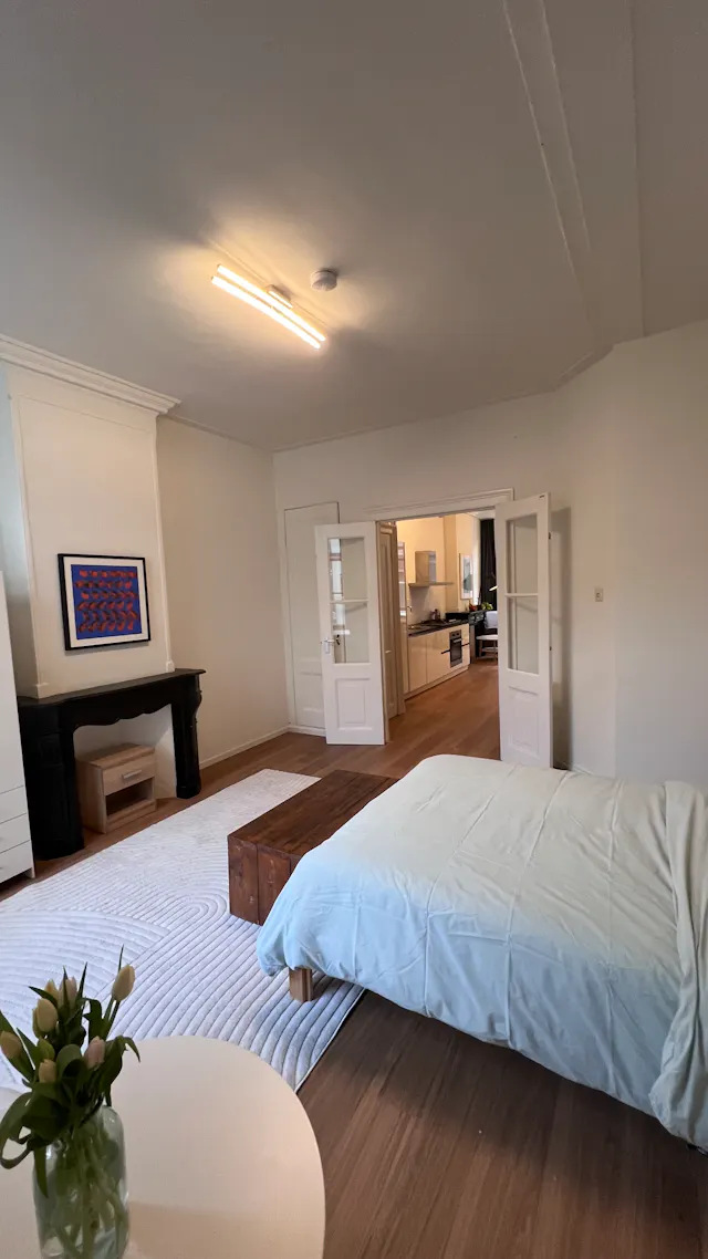 1-Bedroom Apartment in Rapenburg, Amsterdam (1715475) room image 2