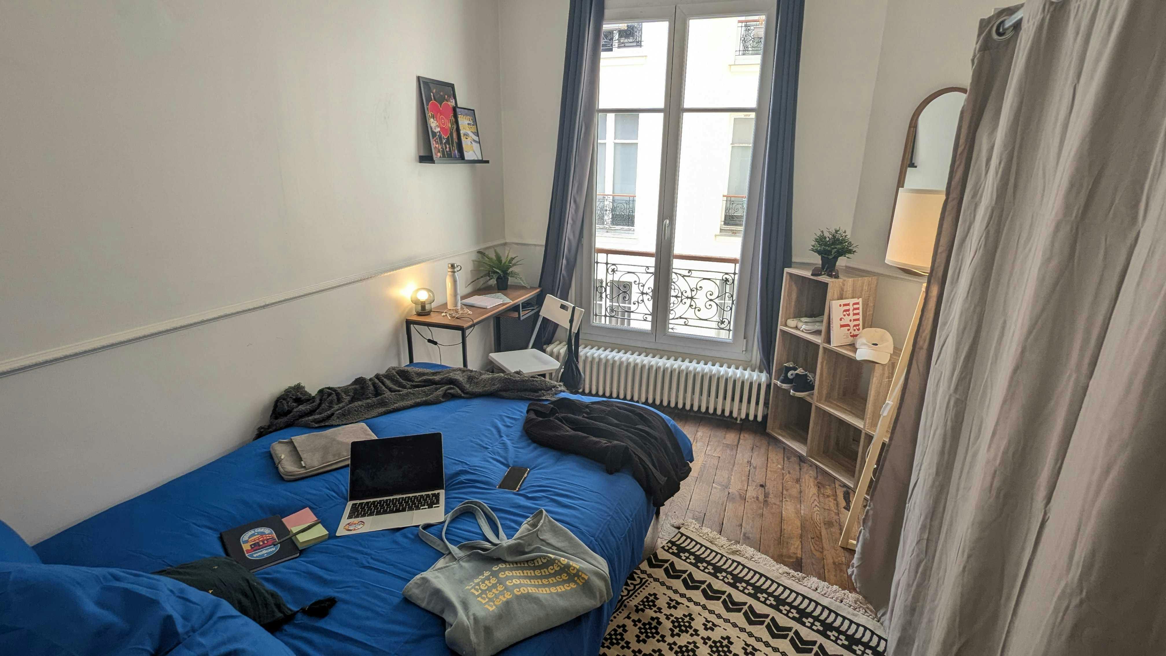Avenue Félix Faure, Paris preview