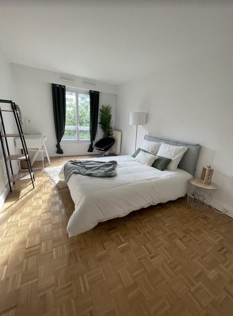 Rue Blomet, Paris preview