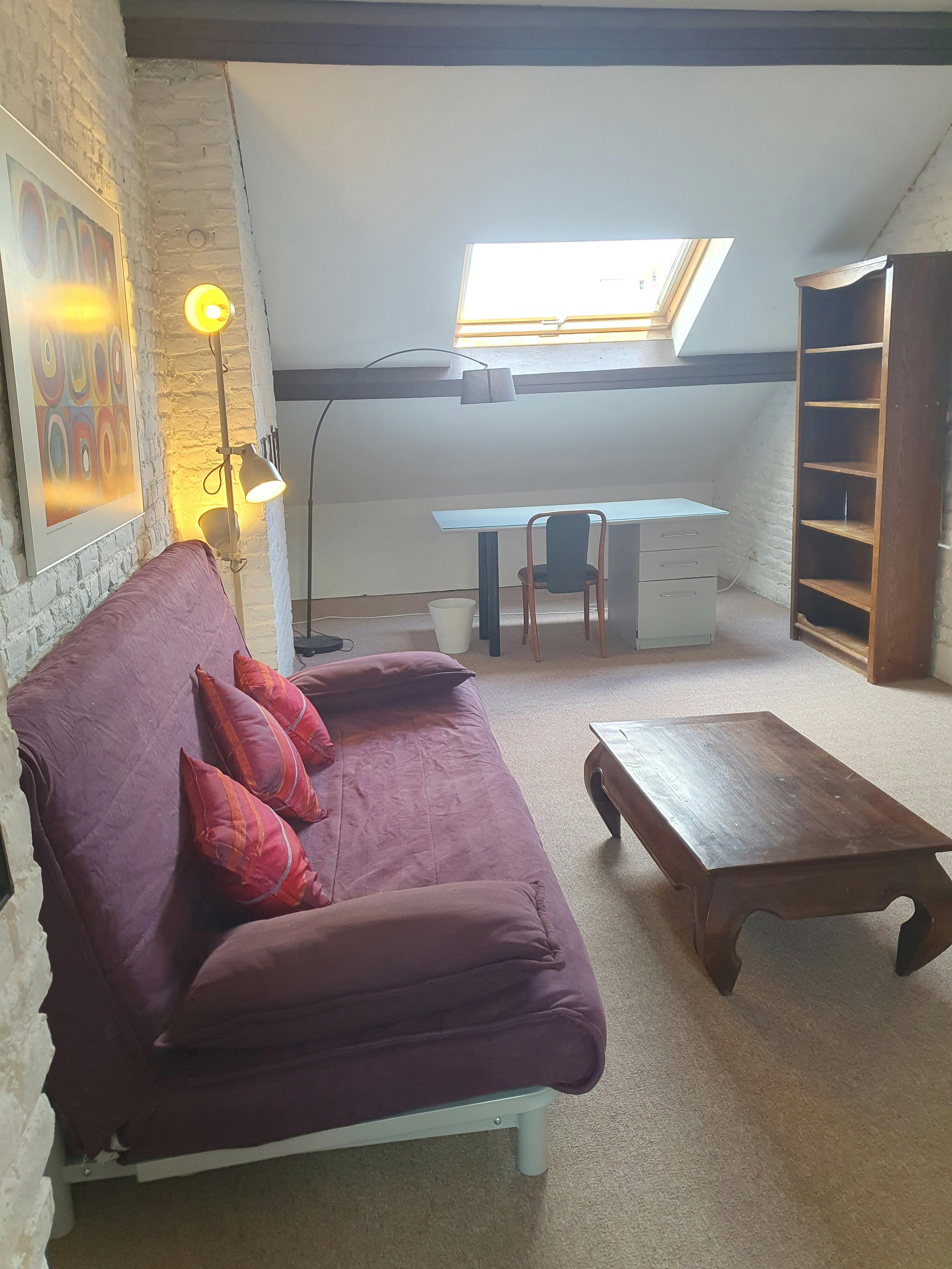 Private room in Avenue Jef Lambeaux, Saint-Gilles (1716159) ROOM 1