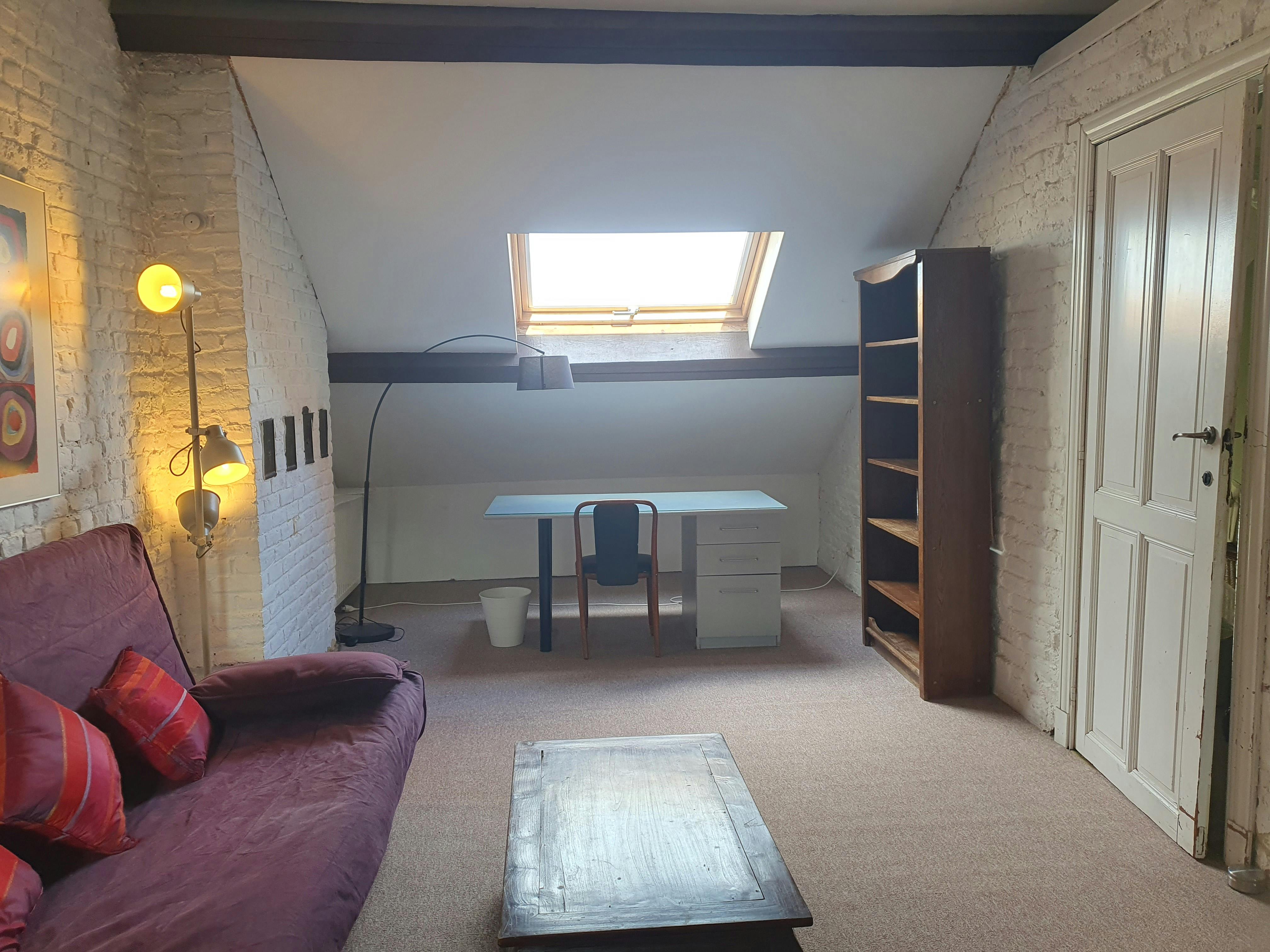 Private room in Avenue Jef Lambeaux, Saint-Gilles (1716159) ROOM 2