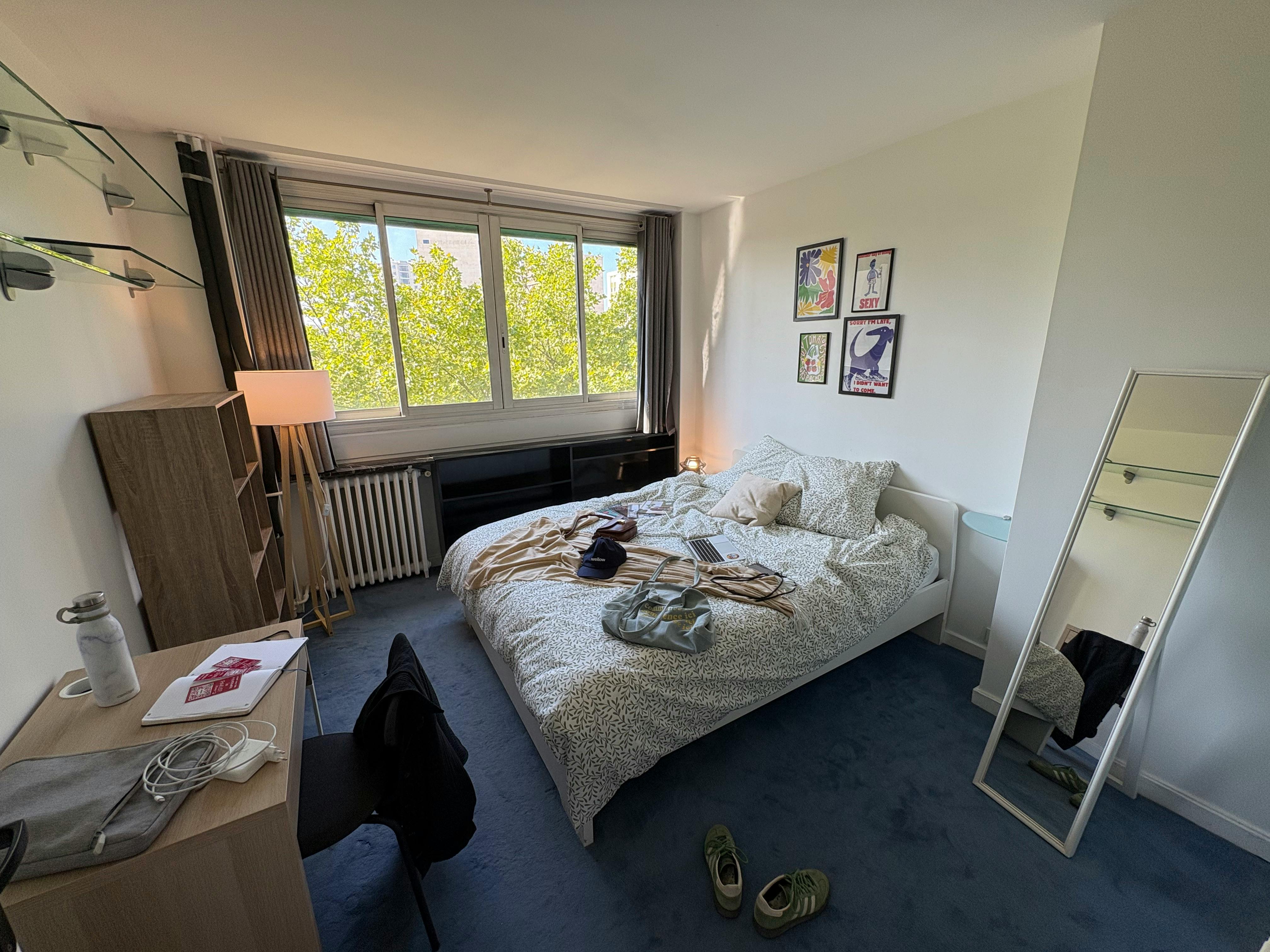Boulevard Auguste Blanqui, Paris preview
